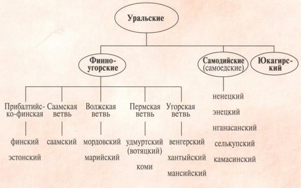 download управление качеством и сертификация услуг общественного